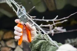 Loewe Löwe Nr. 1 Amboltsaks -Nordforest Hunting Butik 64 110 6 j23 1280x1280