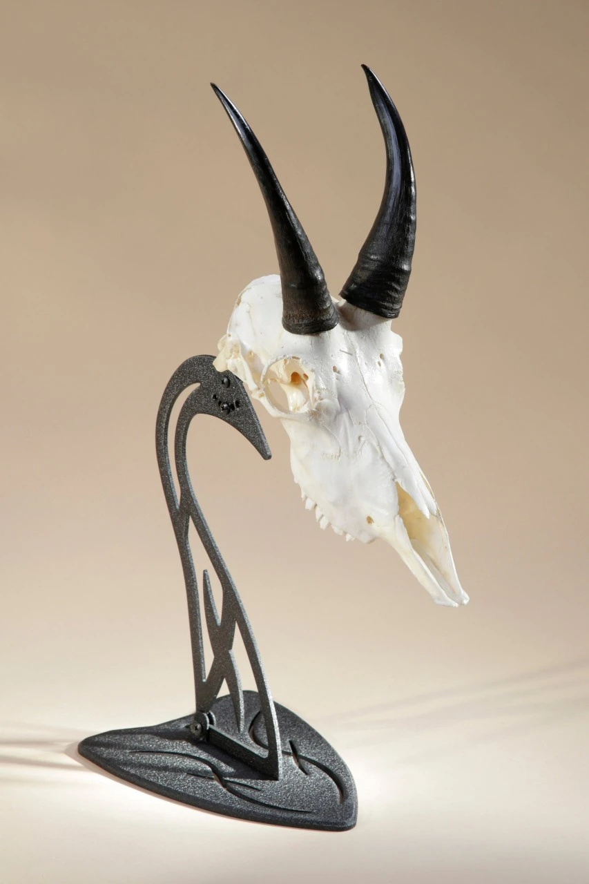 Skull Hooker Trufæholder Table Hooker 2 Skull Hooker Trufæholder Table Hooker - Billede 2