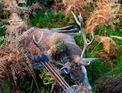 Mjoelner Hunting Skydestok Fenris 1 11 Mjoelner Hunting Skydestok Fenris 1 -Nordforest Hunting Butik 82 433 01 2 j23 1280x1280