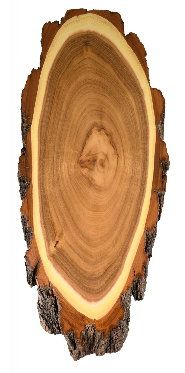 Andere Horteplade Akacie 1 Andere Horteplade Akacie