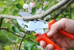 Loewe Löwe Nr. 1 Amboltsaks -Nordforest Hunting Butik B 64 110 4 j16 1280x1280