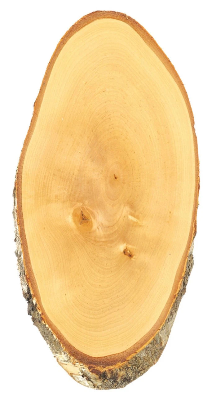 Eurohunt Gevirplade Hjort Birk 1 Eurohunt Gevirplade Hjort Birk