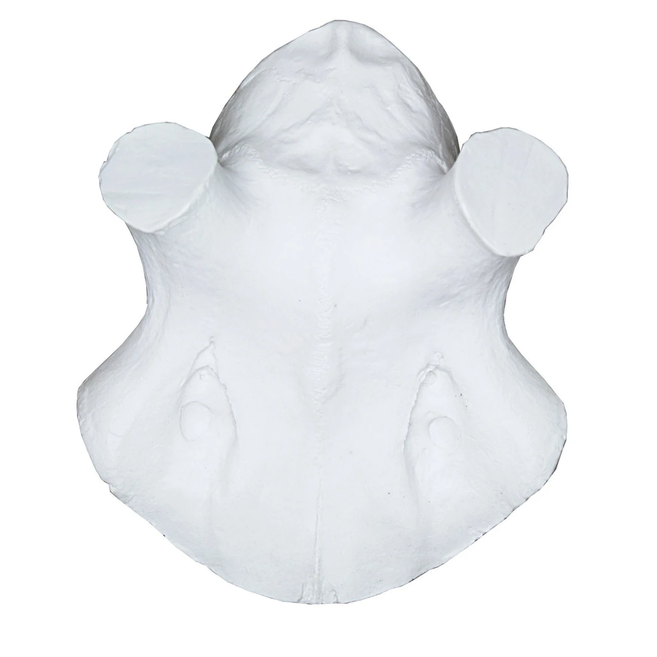 Eurohunt Kranieimitation Hjort, Lille 1 Eurohunt Kranieimitation Hjort, Lille