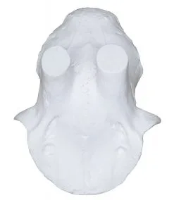 Eurohunt Kunstigt Kranie Råbuk