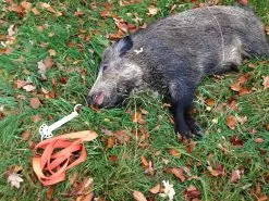 Andere Bjergningsudstyr Og Vildtgalger -Nordforest Hunting Butik B 72 538 01 1 j18 1280x1280