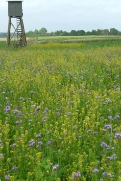 Kiepenkerl Vildtbeskyttelsesblanding WSM 1