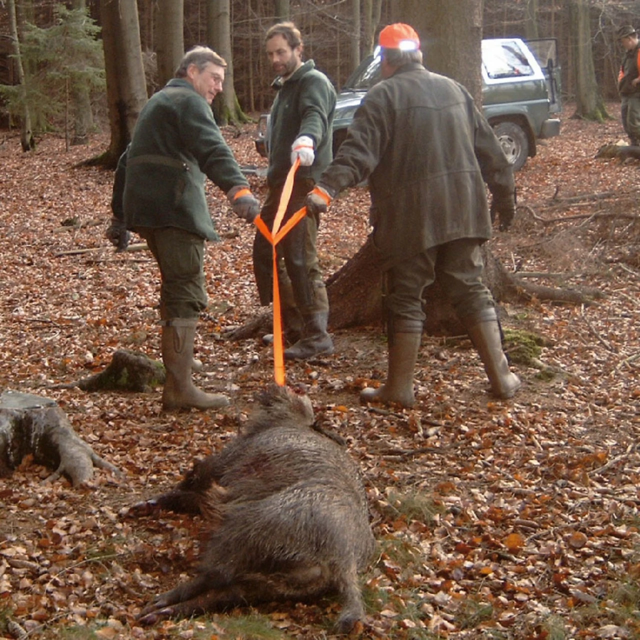 TJS Vildtkrog Med Strop Til Bjergning 2 TJS Vildtkrog Med Strop Til Bjergning - Billede 2