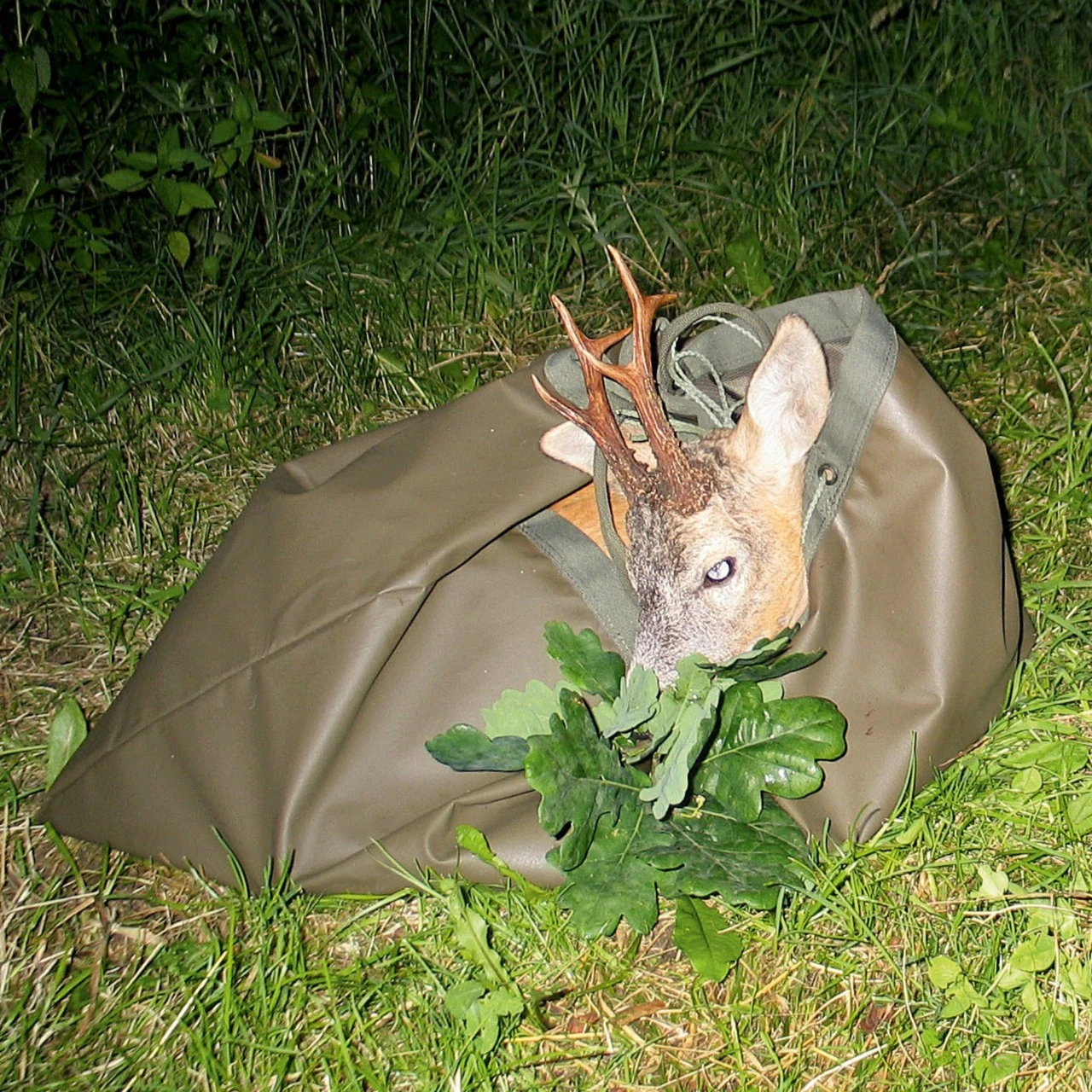 Knobloch Vildt Transport Taske 2 Knobloch Vildt Transport Taske - Billede 2