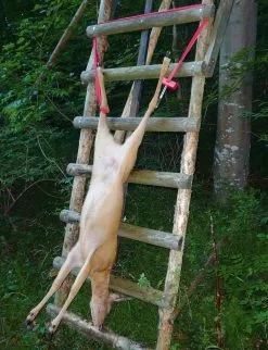 Jägerschmid Vildtbjergnings Sæt 6 Jägerschmid Vildtbjergnings Sæt -Nordforest Hunting Butik art 77 627 3 1280x1280